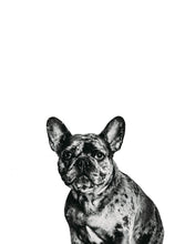 Load image into Gallery viewer, Personality Portraits