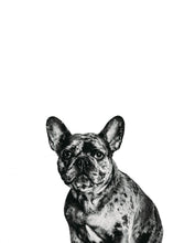 Load image into Gallery viewer, Personality Portraits