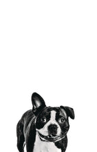 Load image into Gallery viewer, Personality Portraits