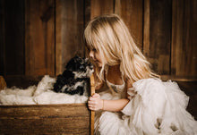 Load image into Gallery viewer, Pet portraits