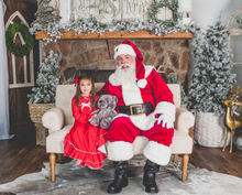 Load image into Gallery viewer, Santa Studio Sessions 2024
